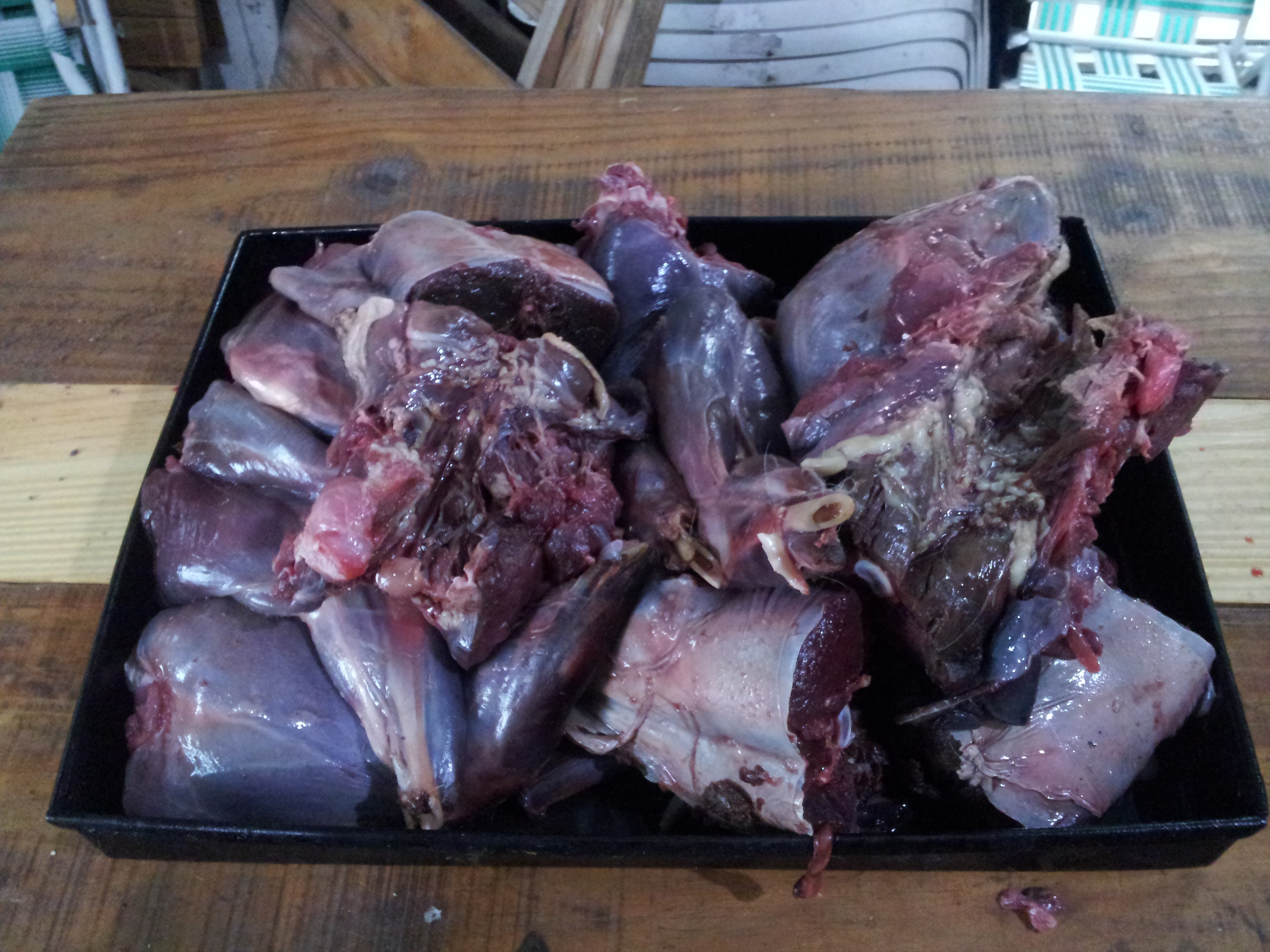 fotos/2012-12-06 - Liebre al disco/20121206_200024.jpg